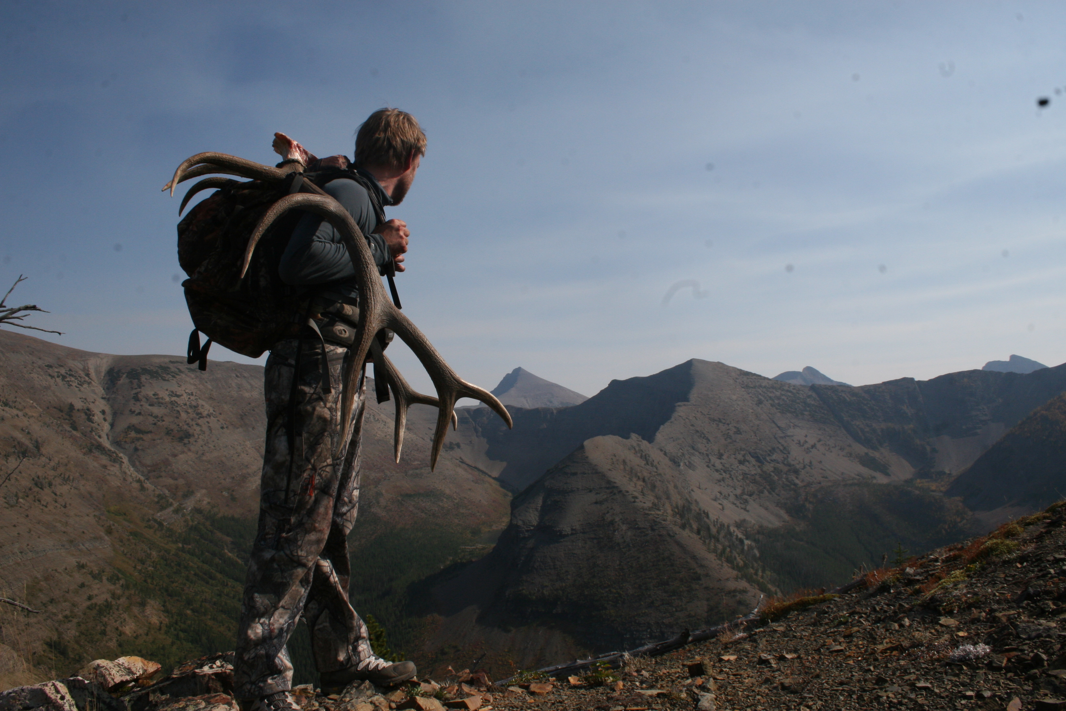 Canada, Packhorse elk 2009