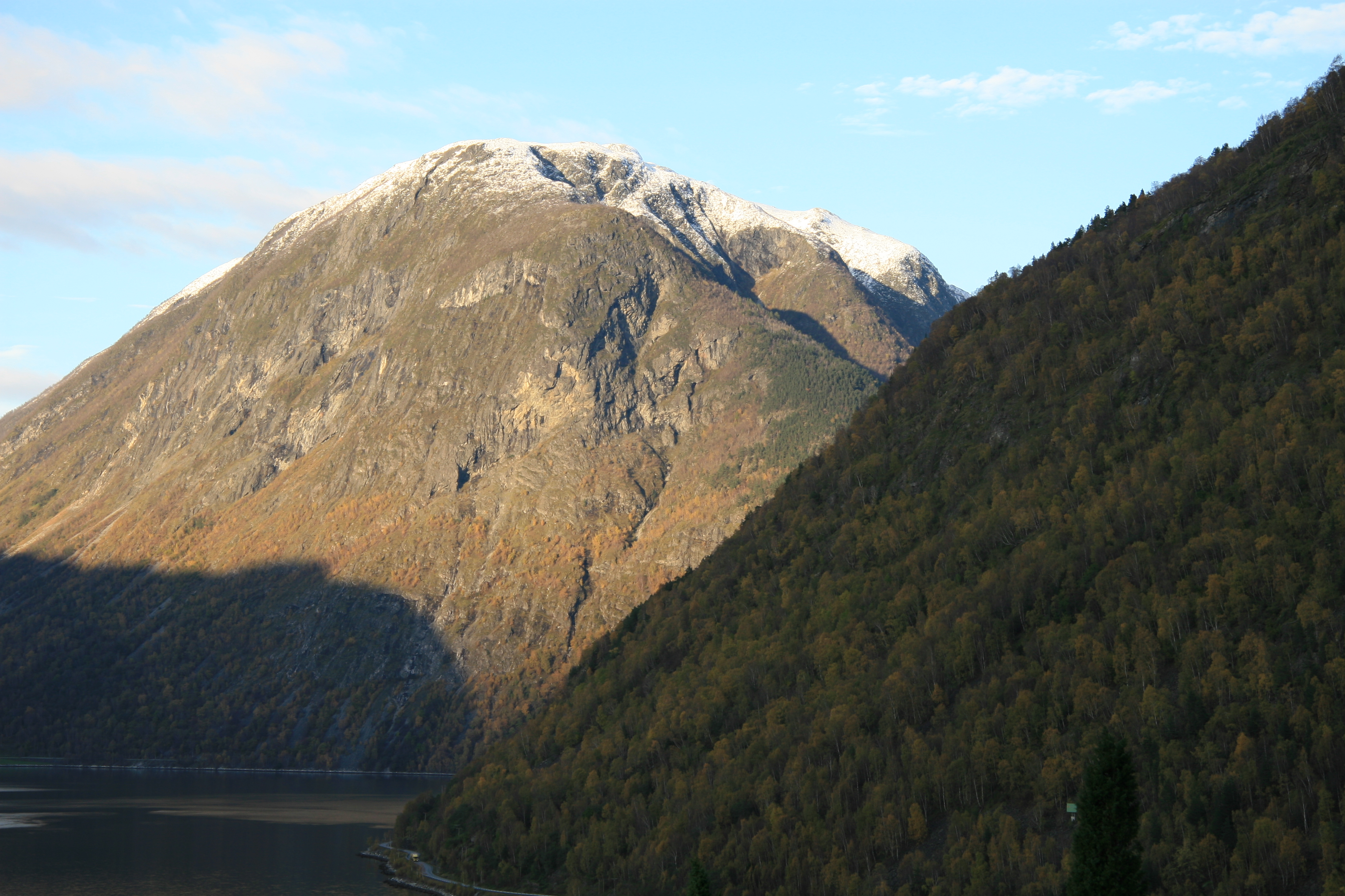 Norge, hjort i Årøydalen